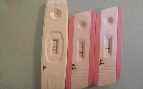 怀孕45天抽血查染色体多少钱，做染色体检查多少钱?