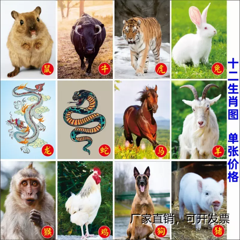 3、12生肖图片:求12生肖，每个动物的一笔画图片