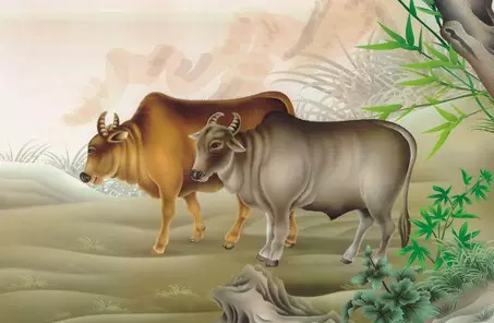 为什么属牛和属虎相克：属虎的和属牛的在一起会相克吗？