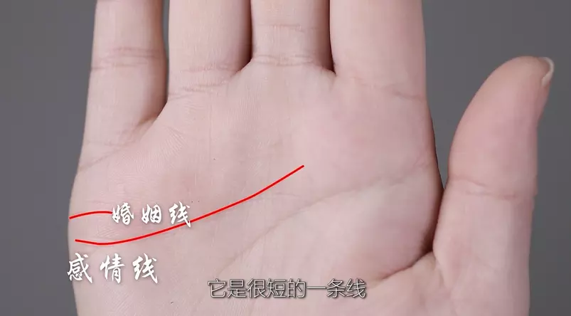 2、手掌哪条是婚姻线:手掌中那一条是感情线。那条是财运线和婚姻线呢