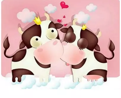 4、属牛和属牛的婚姻配吗:属牛和什么属相相配合适和不合适