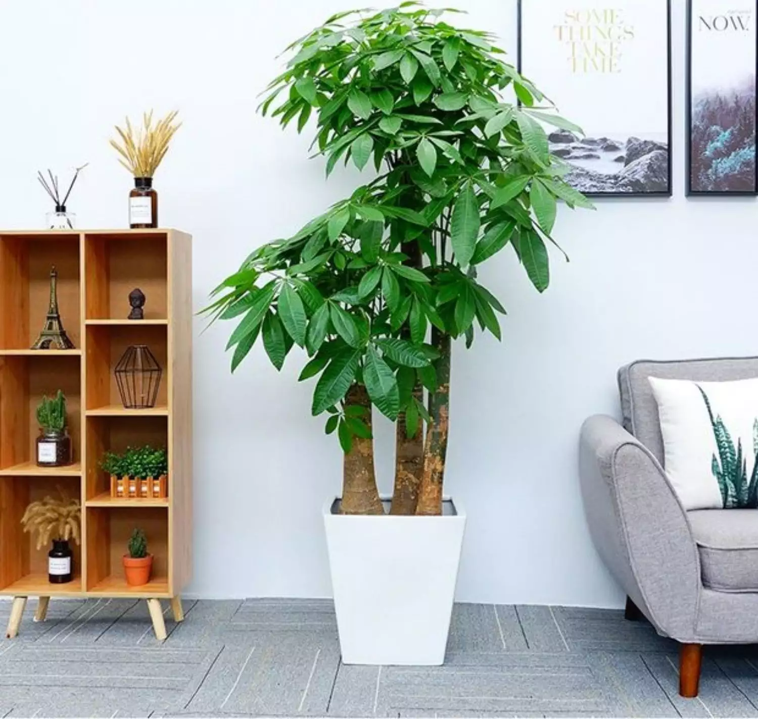 5、办公室绿植布置:办公大厅绿植摆放有哪些讲究