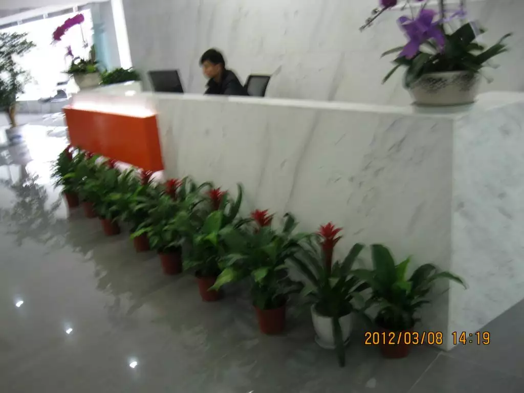 9、办公室绿植布置:办公室摆放绿色植物有哪些好处？