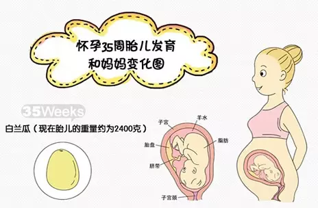 2、胎儿鉴别6大方法:孕期亲自鉴定的几种方法