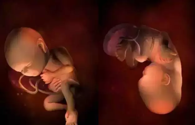 3、胎儿鉴别6大方法:最简单的亲子鉴定方法能鉴别肚子里的孩子是谁