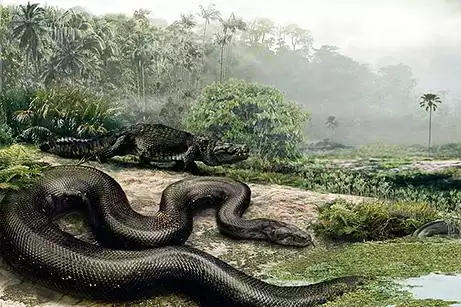 蛇一般长多少厘米，吉尼斯世界纪录蛇最长多少米