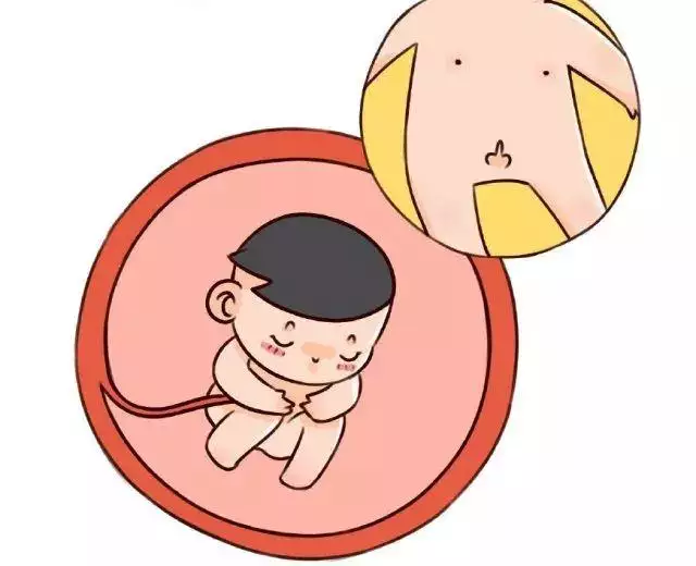 孕妇怀男孩的尿是什么颜色：怀男孩晨尿是什么样的