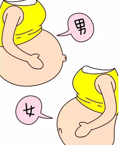 怀和女宝区别：怀孕初期怀男孩女孩有什么区别