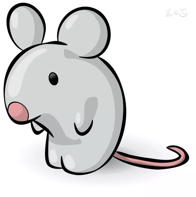 属鼠今年多少岁：属鼠今年多少岁？