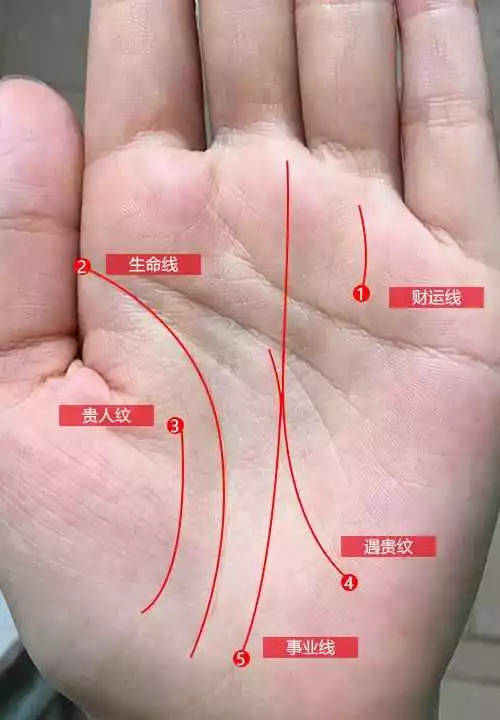 2、手掌的三条线正确图解:手上的三条线分别代表什么？