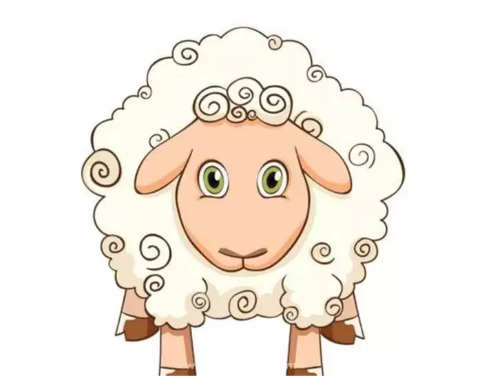 属羊的年龄是多少岁，属羊的今年多大年龄表