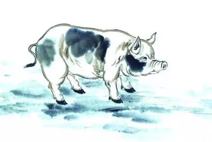 生肖猪的吉祥属相是啥：属猪的吉祥物是什么?