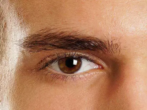 4、从21种眉毛看男人性格:男人的眼眉毛连在一起有什么说法