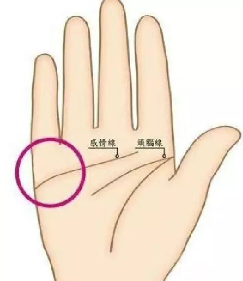 2、男人的婚姻线怎么看左手还是右手?:如何看男人的手相看婚姻