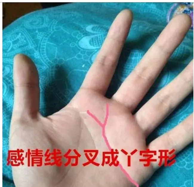 1、男人的婚姻线怎么看左手还是右手?:婚姻线是不是男的看左手，女看右？