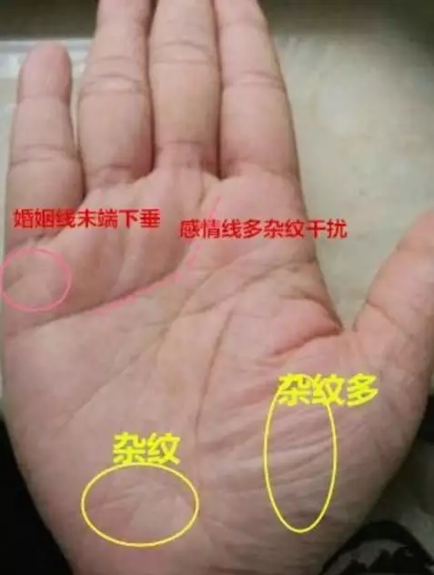 4、男人的婚姻线怎么看左手还是右手?:婚姻线是看左手，还是右手？