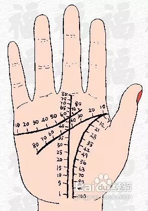 1、女人手掌纹路图解算命:女人怎么看手相图解