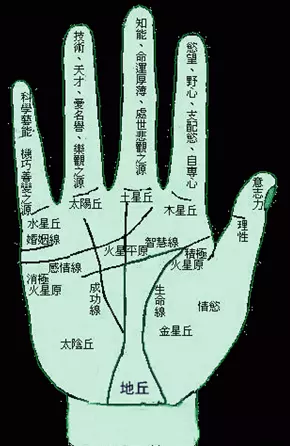 3、女人手掌纹路图解算命:怎么看手相图解女