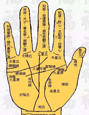 4、女人手掌纹路图解算命:女人看手相算命图解