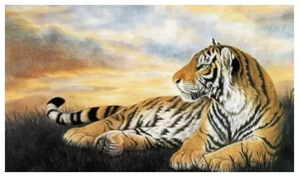 7、属虎几几年出生:属虎的几几年出生，属虎人的性格如何