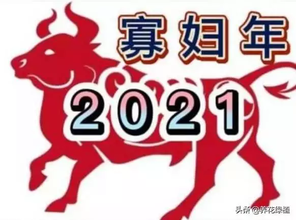 辛丑年的牛是哪一年，2022 年为什么叫辛丑牛年