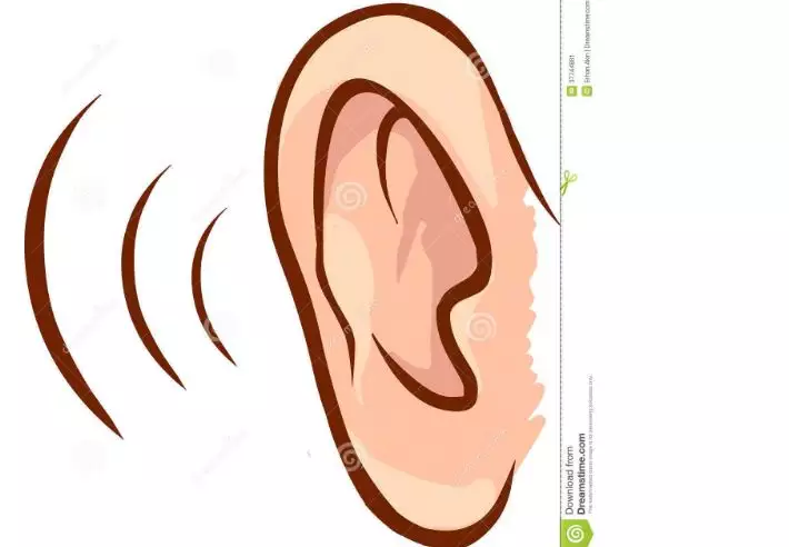 3、耳朵软代表什么时候的运势:耳朵软是什么意思？