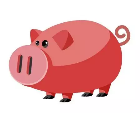 2、属猪的运势:属猪的明天的运势和财运？