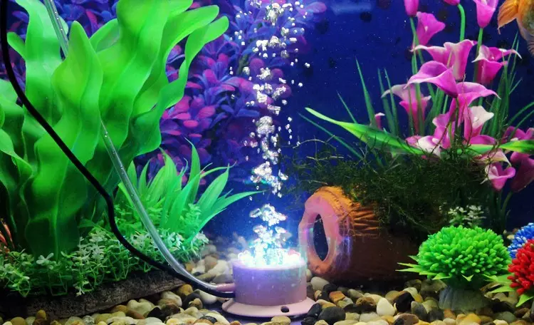 1、金鱼缸照明灯大全:鱼缸养金鱼用什么灯好看