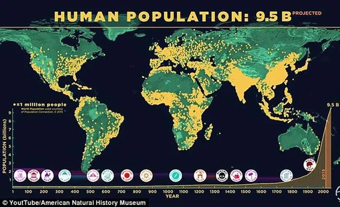 8、数量:世界人口总数