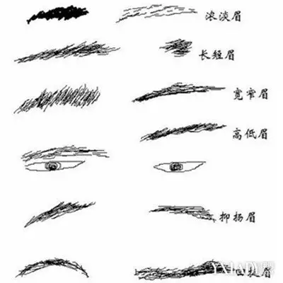 2、从21种眉毛看男人性格:怎样看男人脸相中两眉毛中间的距离看性格