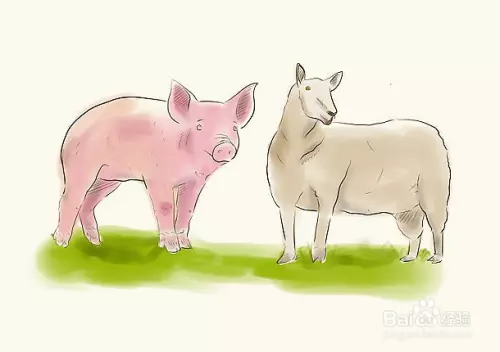 3、猪和羊的婚配是什么属相:四月男猪和三月女羊婚配？