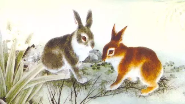 属兔的和哪三个属相是三合：属兔跟哪个属相最合的来？