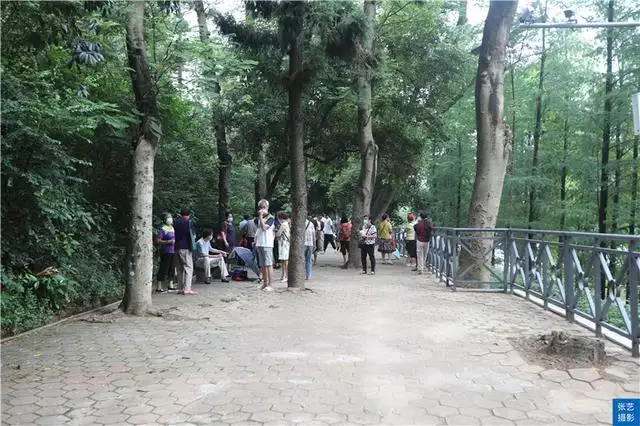 北京哪个公园有相亲活动，北京菖蒲河公园相亲
