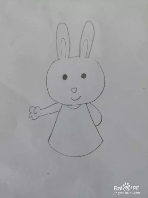 3、小兔子怎么画可爱:最漂亮漂亮的动物小兔子怎么画