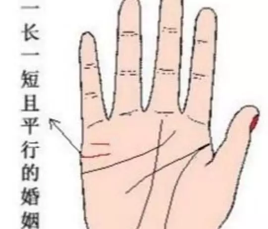 4、无名指长短你的运势:如果无名指长过食指，代表什么？