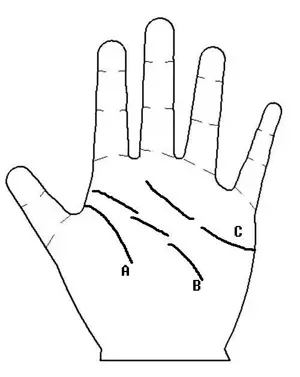 1、11种人容易的手相:怎么看手相？