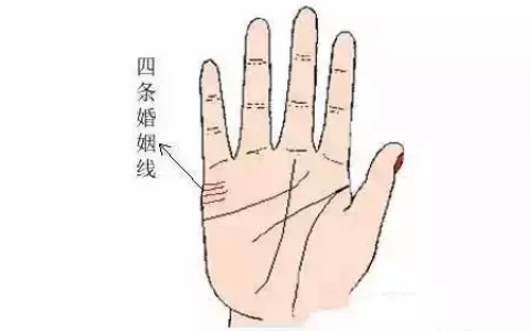 女人手掌纹路图解右手婚姻线，女性右手有两条婚姻线交叉而且呈X状，意味着
