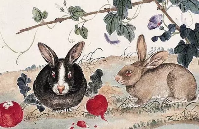 6、农历三月兔和什么婚配好:属兔的属相婚配表