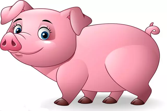 冲煞属相猪是什么意思：黄道吉日中的生肖冲猪是什么意思?