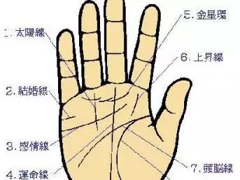 2、手相四条线解析运势:人的手掌有四条线，命运怎样