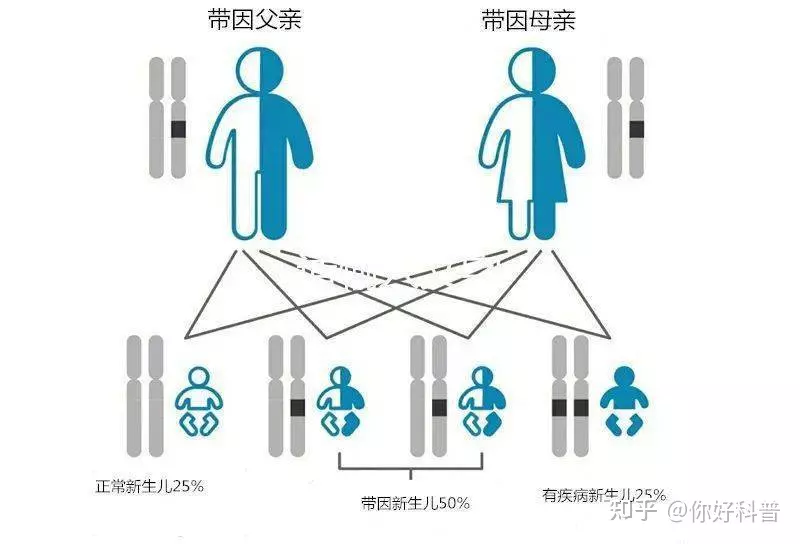 3、群体内随机婚配改变基因频率吗:为什么自由，后代基因频率不变啊！