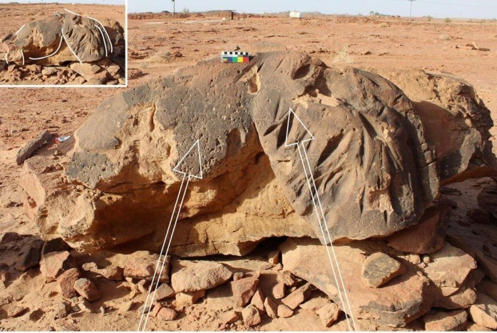 比巨石阵还早 沙特阿拉伯北部的骆驼遗址可追溯到7000-8000年前