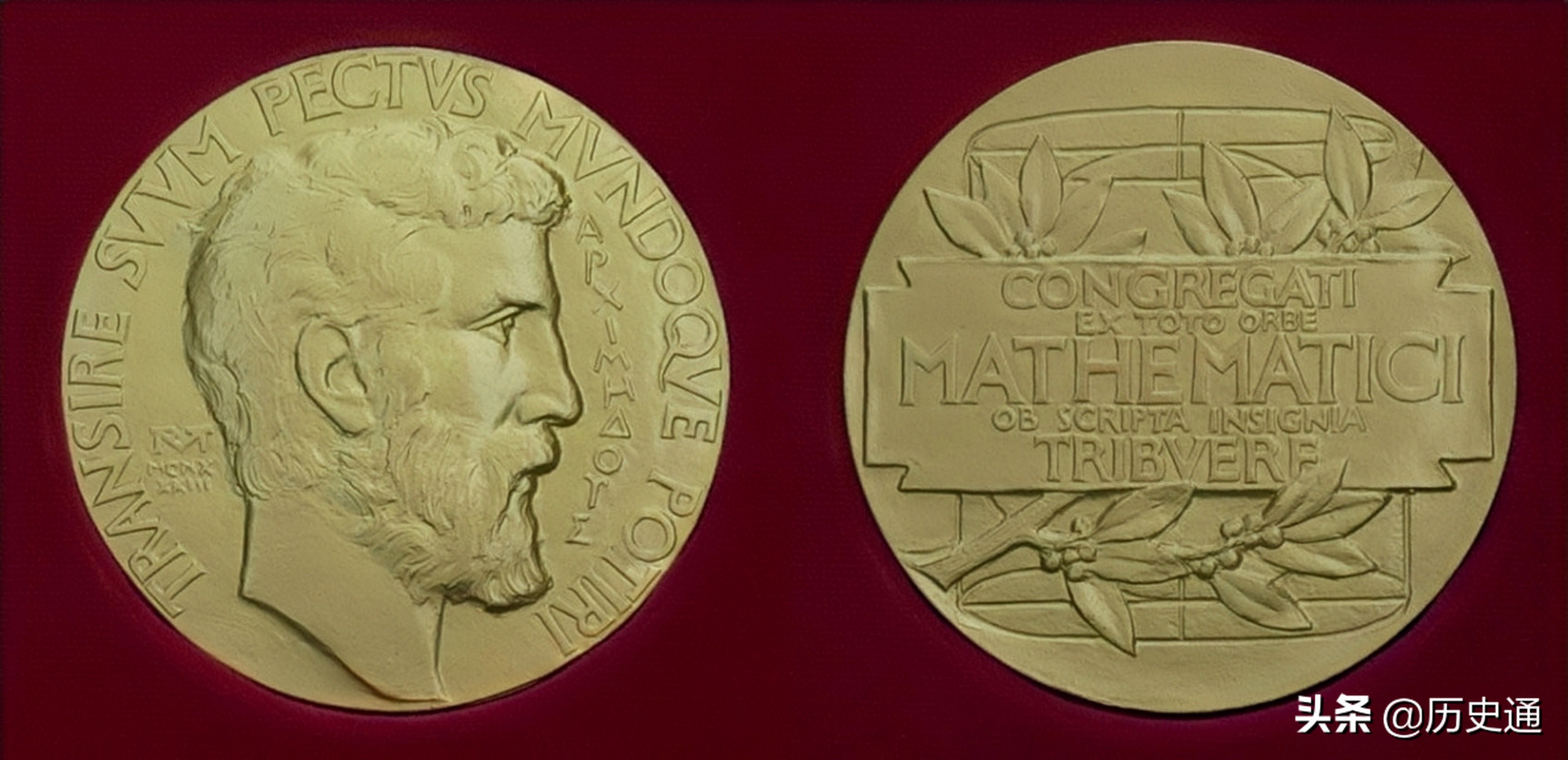 数学领域各大奖项：两项“数学界的诺贝尔奖”，国内至今无人斩获