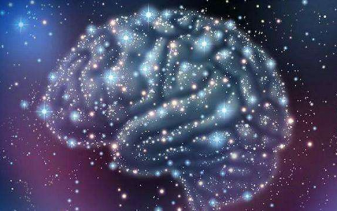 人类脑部开发了多少 辟谣：人类大脑到底用了多少？开发到100%会怎样？