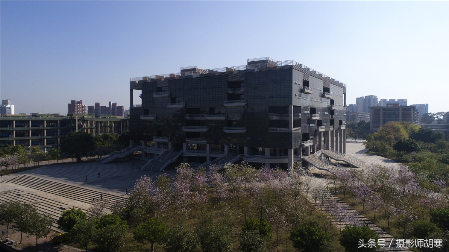 航拍广东工业大学大学城校区，正是紫荆花盛开时！