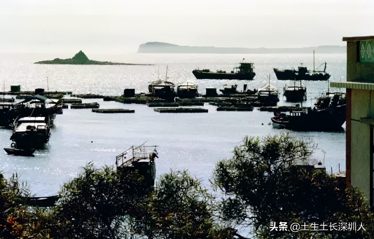 深圳人的“五湖四海”，你听过吗？