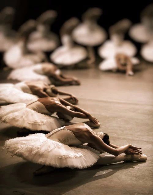 揭秘芭蕾文化的起源与发展