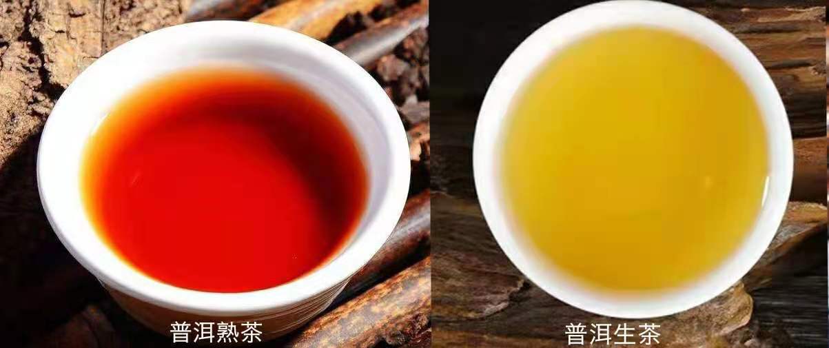 普洱茶属于什么茶类，是红茶、绿茶还是黑茶呢？