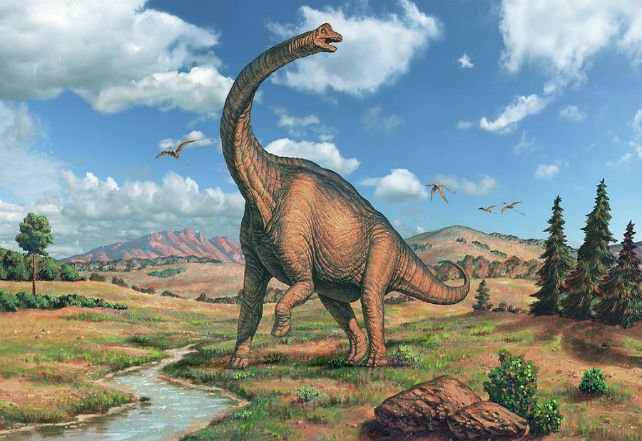 关于恐龙你可能不知道的事实，带你了解恐龙时代