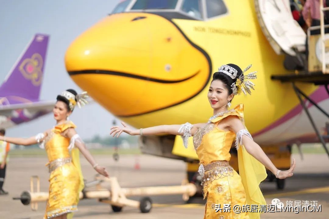 泰国航空公司推出宠物登机计划，主子可陪同飞行啦
